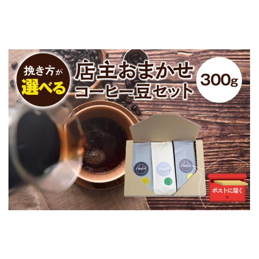 ふるさと納税 コーヒー コーヒー豆 和歌山県 新宮市 中挽き 店主おまかせ 挽き立てコーヒー豆3種類セット(100g×3種類) hgo003-b 中挽き(100g×3種類)