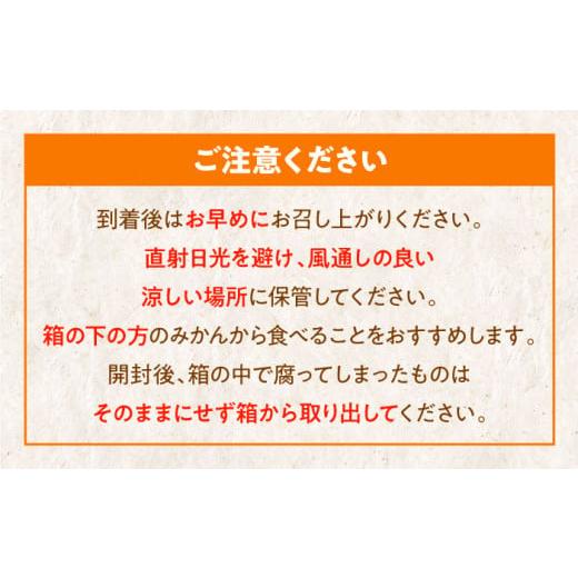 ふるさと納税 愛媛県 大洲市 【先行予約】【7月中旬より順次発送】口いっぱいに広がる甘さ！大洲産ハウスみかん（2S〜Sサイズ）800g×2袋　愛媛県大洲市／沢井…｜furusatochoice｜07