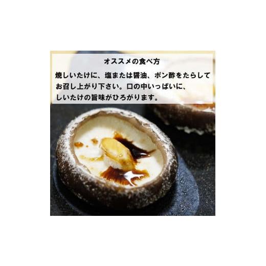 ふるさと納税 野菜類 きのこ 島根県 出雲市 朝採り新鮮 分厚いしいたけ　チビしいたけセット_2