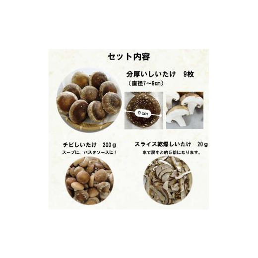 ふるさと納税 野菜類 きのこ 島根県 出雲市 朝採り新鮮 分厚いしいたけ　チビしいたけセット_5