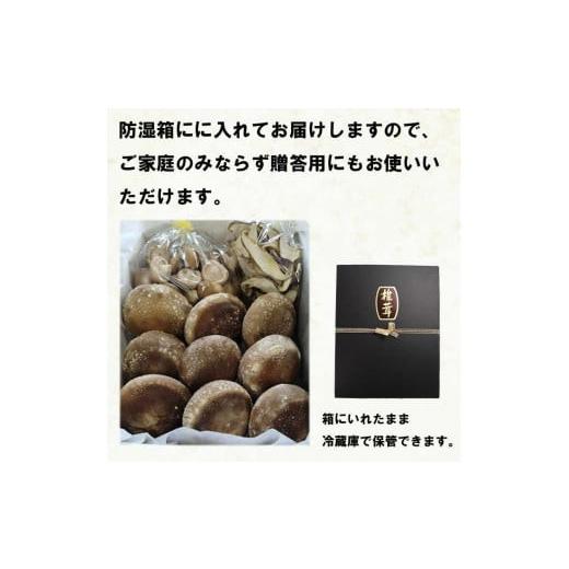 ふるさと納税 野菜類 きのこ 島根県 出雲市 朝採り新鮮 分厚いしいたけ　チビしいたけセット_6