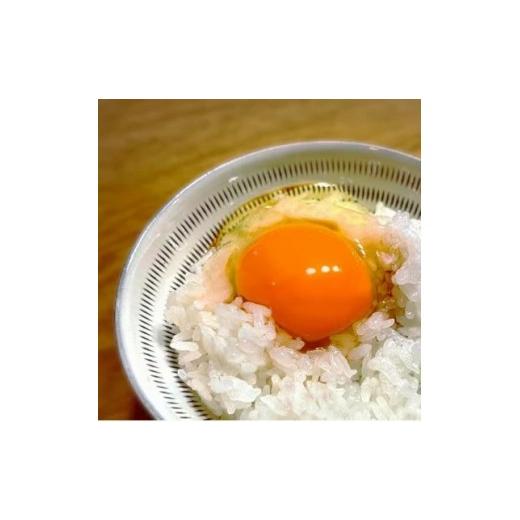 ふるさと納税 無洗米 福岡県 筑前町 令和7年産 元気つくし無洗米2合真空パック35袋 無洗米 ご飯 米 お米 元気つくし ブランド 真空パック パック 保存 小分け…