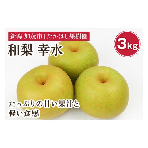 ふるさと納税 梨 新潟県 加茂市 2026年先行予約 たかはし果樹園 謹製 新潟県産和梨 幸水 約3kg[8月中旬〜配送]こうすい 果物 フルーツギフト 秋の味覚 産地…