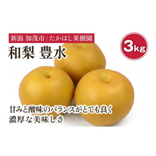 ふるさと納税 梨 新潟県 加茂市 2026年先行予約 たかはし果樹園 謹製 新潟県産和梨 豊水 約3kg[9月上旬〜順次配送]ほうすい 果物 フルーツギフト 秋の味覚 …