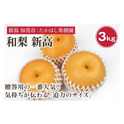 ふるさと納税 梨 新潟県 加茂市 2026年先行予約 たかはし果樹園 謹製 新潟県産和梨 新高 約3kg [9月下旬〜順次配送]にいたか 果物 フルーツギフト 秋の味覚…