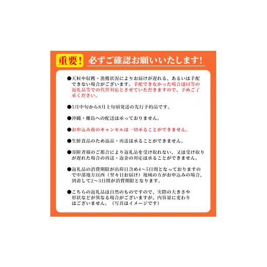 ブランド買蔵 ふるさと納税 岩手県 釜石市 fc-40-013 ＜先行予約受付中！＞ 旬の銘品 「三陸産生うにとひとめぼれ 八重の穂」 【令和6年5月中旬〜8月上旬頃お届け便】 ヤ…