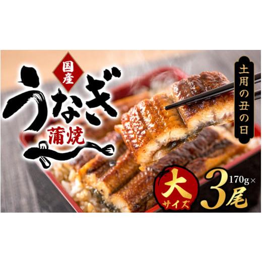 ふるさと納税 うなぎ 和歌山県 串本町 春土用の丑の日 大型サイズ 国産 大型サイズ ふっくら柔らか 国産うなぎ蒲焼き 3尾 化粧箱入 先行予約 国産 うなぎ ウ…