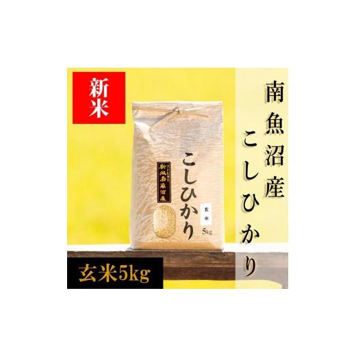 ふるさと納税 米 コシヒカリ 新潟県 南魚沼市 令和8年産 新米予約 南魚沼産コシヒカリ(玄米) 5kg 銘柄米 ブランド米 玄米 こしひかり コシヒカリ 魚沼産 新…