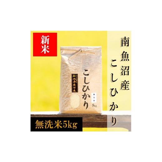 ふるさと納税 無洗米 新潟県 南魚沼市 令和8年産 新米予約 南魚沼産コシヒカリ(無洗米) 5kg 銘柄米 ブランド米 無洗米 こしひかり コシヒカリ 魚沼産 新潟…