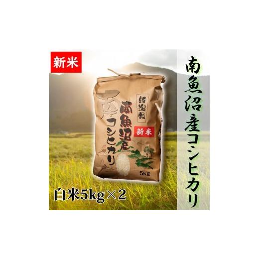 ふるさと納税 米 コシヒカリ 新潟県 南魚沼市 令和8年産 新米予約 高級 南魚沼産こしひかり 白米10kg 新潟県の特A地区南魚沼市の美味しいお米 銘柄米 ブラン…