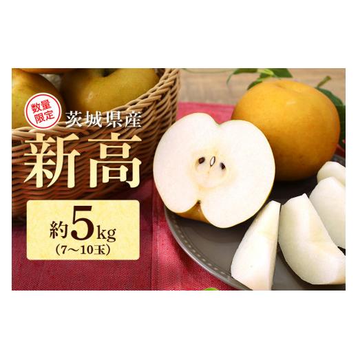 ふるさと納税 梨 茨城県 小美玉市  数量限定 ／ 夏季限定 梨（新高） 約5kg 梨 なし ナシ 日本梨 にいたか ニイタカ 17-Y 9月中旬〜下旬発送予定_1
