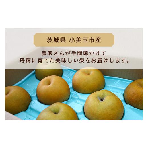 ふるさと納税 梨 茨城県 小美玉市  数量限定 ／ 夏季限定 梨（新高） 約5kg 梨 なし ナシ 日本梨 にいたか ニイタカ 17-Y 9月中旬〜下旬発送予定_2