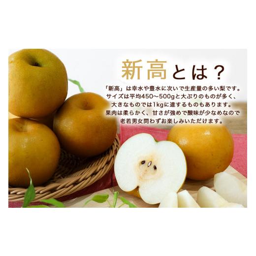 ふるさと納税 梨 茨城県 小美玉市  数量限定 ／ 夏季限定 梨（新高） 約5kg 梨 なし ナシ 日本梨 にいたか ニイタカ 17-Y 9月中旬〜下旬発送予定_3
