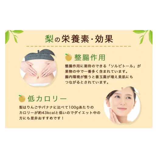 ふるさと納税 梨 茨城県 小美玉市  数量限定 ／ 夏季限定 梨（新高） 約5kg 梨 なし ナシ 日本梨 にいたか ニイタカ 17-Y 9月中旬〜下旬発送予定_4