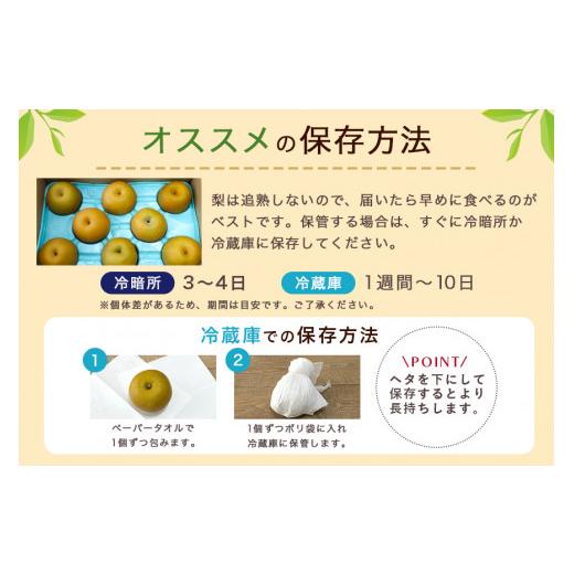 ふるさと納税 梨 茨城県 小美玉市  数量限定 ／ 夏季限定 梨（新高） 約5kg 梨 なし ナシ 日本梨 にいたか ニイタカ 17-Y 9月中旬〜下旬発送予定_6