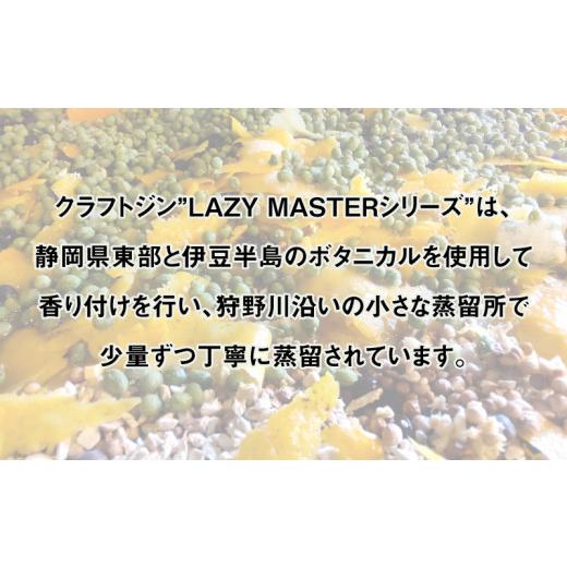 ふるさと納税 お酒 洋酒 静岡県 沼津市 沼津蒸留所 クラフトジン LAZY