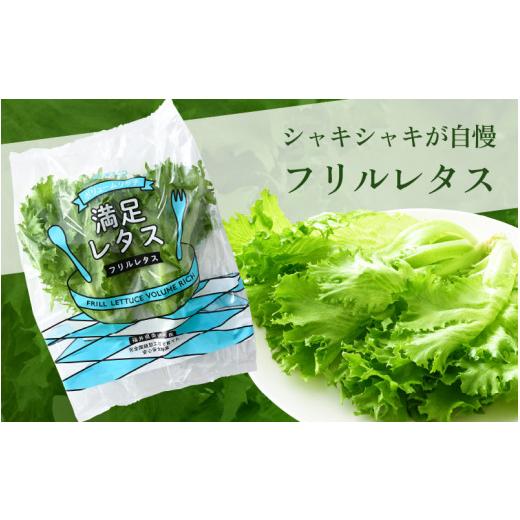 ふるさと納税 セット・詰合せ 福井県 美浜町 定期便 7ヶ月連続お届け 低カリウムレタス\u0026フリルレタス　計6個セット 全7回 福井県美浜町産 野菜 生野菜 レ…_3