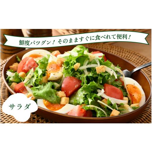 ふるさと納税 セット・詰合せ 福井県 美浜町 定期便 7ヶ月連続お届け 低カリウムレタス\u0026フリルレタス　計6個セット 全7回 福井県美浜町産 野菜 生野菜 レ…_5