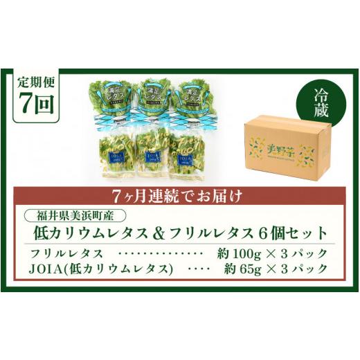 ふるさと納税 セット・詰合せ 福井県 美浜町 定期便 7ヶ月連続お届け 低カリウムレタス\u0026フリルレタス　計6個セット 全7回 福井県美浜町産 野菜 生野菜 レ…_9