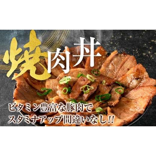 ふるさと納税 宮崎県 日南市 ≪3か月お楽しみ定期便≫きなこ豚4種類わくわくセット(総重量7kg)　肉　豚　豚肉　国産　宮崎県産 GE4-23 しゃぶしゃぶ用 焼肉用 総重量7kg 5kg≫ロース 　　　　　　　500g×1パックヒレ