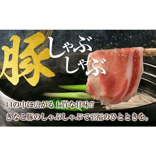 ふるさと納税 宮崎県 日南市 ≪3か月お楽しみ定期便≫きなこ豚4種類わくわくセット(総重量7kg)　肉　豚　豚肉　国産　宮崎県産 GE4-23 しゃぶしゃぶ用 焼肉用 総重量7kg 5kg≫ロース 　　　　　　　500g×1パックヒレ