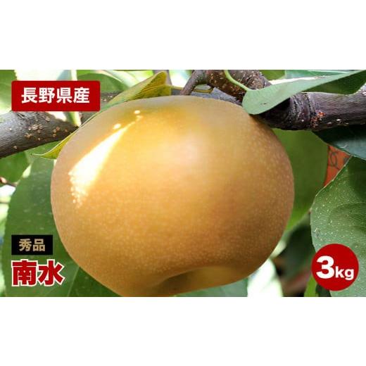 ふるさと納税 梨 長野県 飯田市 ジューシーで甘い 長野県産 梨 なし 南水 約3kg 秀品 [2026年9月中旬〜10月中旬発送]| 果物 くだもの フルーツ 梨 なし 南水…