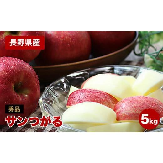 ふるさと納税 りんご 長野県 飯田市 りんご の 一番手 長野県産 りんご サンつがる 約5kg 秀品 [2026年9月上旬〜9月中旬発送]| 果物 くだもの フルーツ りん…