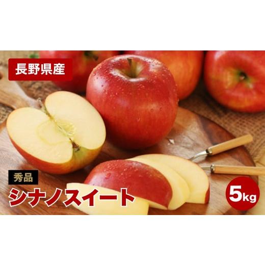 ふるさと納税 りんご 長野県 飯田市 香りも良く食べやすい 長野県産 りんご シナノスイート 約5kg 秀品 2026年10月中旬〜11月中旬発送 | 果物 くだもの フルー…