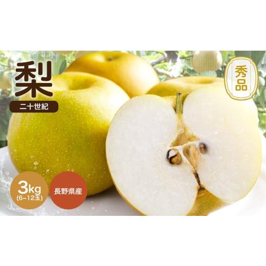 ふるさと納税 梨 長野県 飯田市 滴る程にジューシーな梨 長野県産 なし(二十世紀) 約3kg 秀品[2025年9月上旬〜9月末発送]| 果物 くだもの フルーツ なし 梨…
