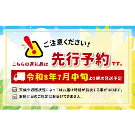 ふるさと納税 もも 長野県 飯田市  収穫当日出荷 長野県 飯田産 特選 完熟 桃 あかつき 約2kg <2026年7月中旬〜8月下旬発送>| 果物 くだもの フルーツ …の画像