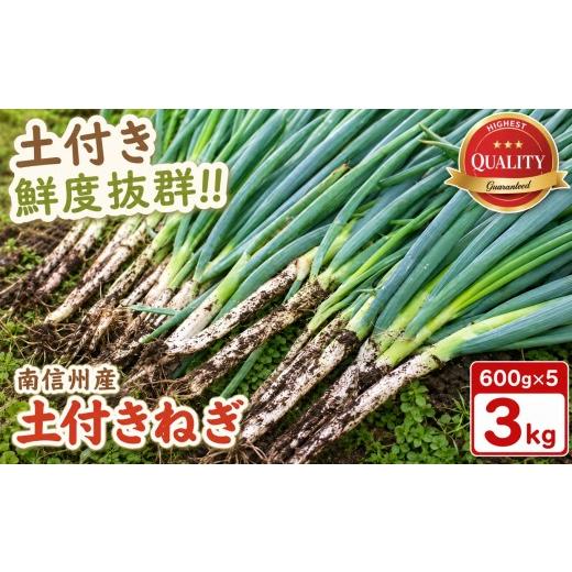 ふるさと納税 野菜類 ねぎ 長野県 飯田市 南信州産 土付きねぎ 3kg (600g×5袋) <2026年11月下旬〜順次発送> JAみなみ信州DMセンター飯田市 | 土付…