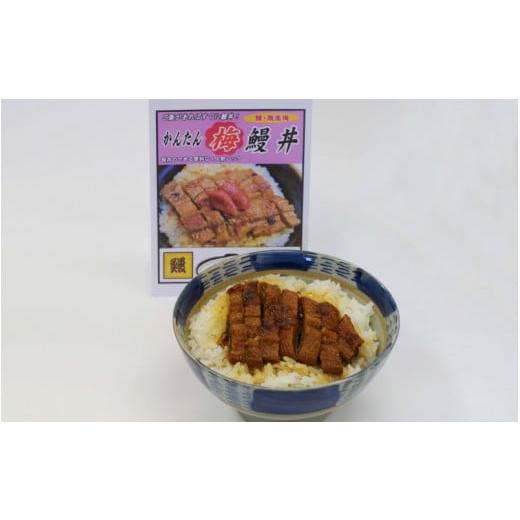 ふるさと納税 和歌山県 田辺市 かんたん鰻丼 (梅味)1人前×5食セット [湯煎するだけで簡単に鰻丼ができます] / 和歌山 田辺市 国産 国産鰻 鰻 うなぎ …