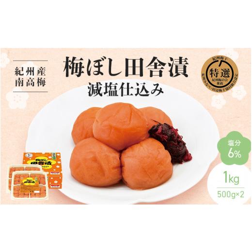 ふるさと納税 加工品等 梅干 和歌山県 田辺市 紀州産南高梅 梅ぼし田舎
