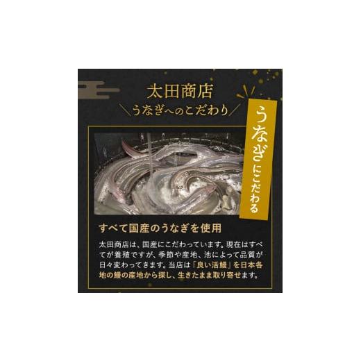 ふるさと納税 和歌山県 田辺市 国産うなぎ白焼（２本） ／  和歌山 田辺市 国産 国産うなぎ 国産鰻 うなぎ 鰻 鰻丼 うな丼 土用の丑の日｜furusatochoice｜07