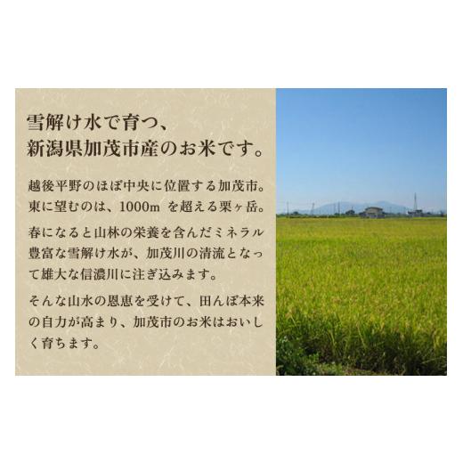 ふるさと納税 新潟県 加茂市 【令和5年産米】新潟県加茂市産 特別栽培米コシヒカリ 精米25kg（5kg×5）白米 従来品種コシヒカリ 加茂有機米生産組合｜furusatochoice｜04