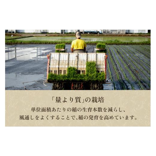 ふるさと納税 新潟県 加茂市 【令和5年産米】新潟県加茂市産 特別栽培米コシヒカリ 精米25kg（5kg×5）白米 従来品種コシヒカリ 加茂有機米生産組合｜furusatochoice｜05