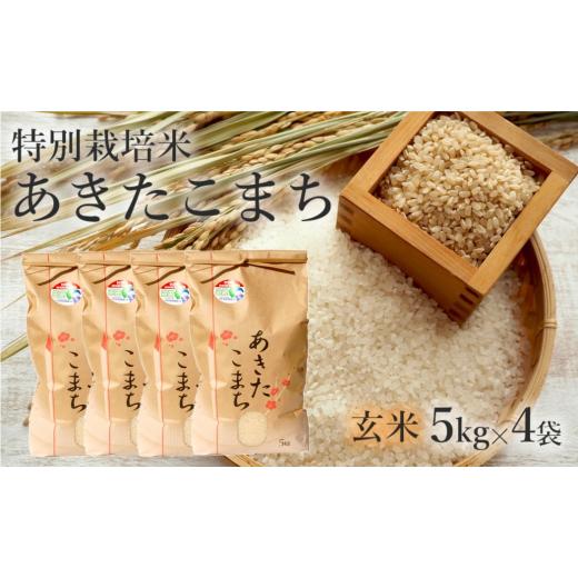 ふるさと納税 玄米 秋田県 能代市 玄米 あきたこまち 20kg (5kg×4袋) 令和7年産 米 こめ お米 おこめ 令和7年 特別栽培米 産地直送 ご飯 ごはん 秋田こまち …_1