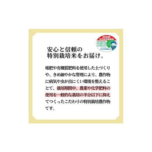 ふるさと納税 玄米 秋田県 能代市 玄米 あきたこまち 20kg (5kg×4袋) 令和7年産 米 こめ お米 おこめ 令和7年 特別栽培米 産地直送 ご飯 ごはん 秋田こまち …_2
