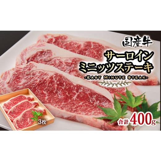 ふるさと納税 宮崎県 西都市 国産牛サーロインミニッツステーキ3枚 計400g 牛肉 サーロインステーキ[1.2-63]