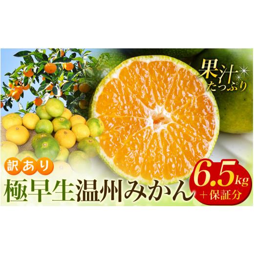 ふるさと納税 果物類 みかん 三重県 紀宝町 先行予約 訳あり 極早生温州みかん 約6.5kg+傷み保証分300g 2S〜3Lサイズおまかせ 2026年9月下旬から10月中旬ま…