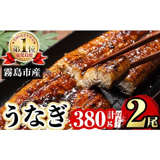 ふるさと納税 うなぎ 鹿児島県 霧島市 A5-034-RT 数量限定 特別サイズ 霧島産うなぎ蒲焼き計380g以上(190g超×2尾) 田代水産 霧島市 国産 鹿児島県産 うなぎ …