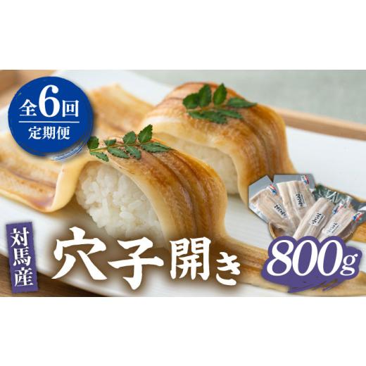 ふるさと納税 魚貝類 穴子 長崎県 対馬市 全6回定期便 対馬 穴子 開き 800g《対馬市》 海風商事 アナゴ 国産 九州 長崎 WAD045 冷凍 新鮮 あなご 天ぷら もう…_1
