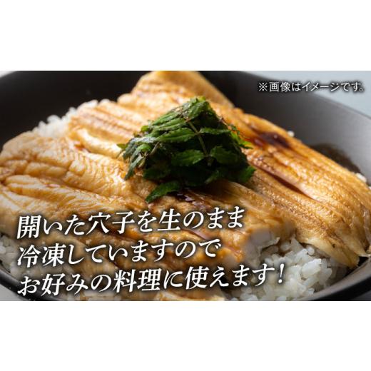 ふるさと納税 魚貝類 穴子 長崎県 対馬市 全6回定期便 対馬 穴子 開き 800g《対馬市》 海風商事 アナゴ 国産 九州 長崎 WAD045 冷凍 新鮮 あなご 天ぷら もう…_3