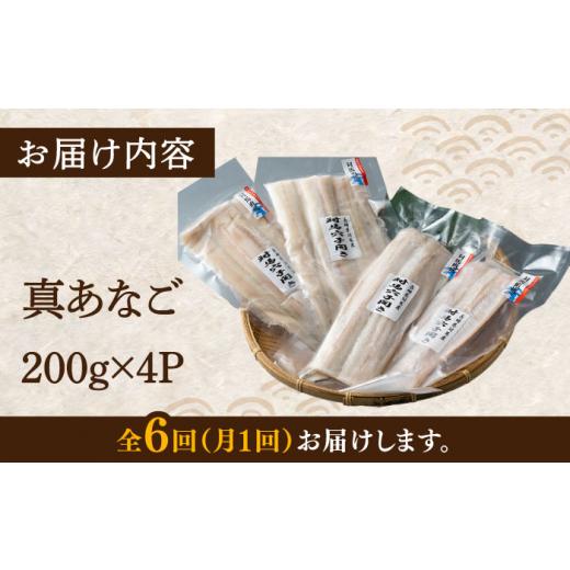 ふるさと納税 魚貝類 穴子 長崎県 対馬市 全6回定期便 対馬 穴子 開き 800g《対馬市》 海風商事 アナゴ 国産 九州 長崎 WAD045 冷凍 新鮮 あなご 天ぷら もう…_6