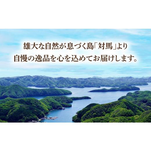 ふるさと納税 魚貝類 穴子 長崎県 対馬市 全6回定期便 対馬 穴子 開き 800g《対馬市》 海風商事 アナゴ 国産 九州 長崎 WAD045 冷凍 新鮮 あなご 天ぷら もう…_7