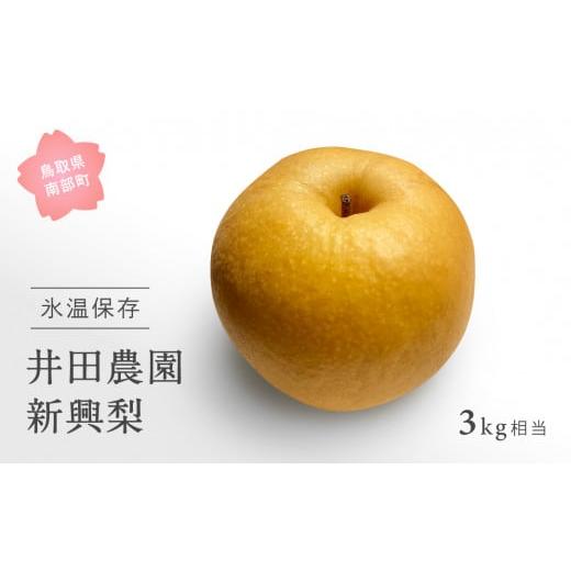 ふるさと納税 梨 鳥取県 南部町 ID02_01 鳥取県南部町産 井田農園の新興 梨 (3kg箱) 令和8年1月出荷 ID02_01 鳥取県南部町産 井田農園の新興 梨 (3k…