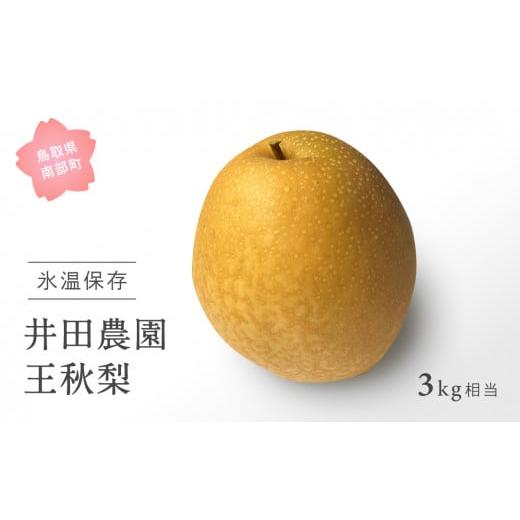 ふるさと納税 梨 鳥取県 南部町 ID03_01 鳥取県南部町産 井田農園の王秋 梨 (3kg箱) 令和8年1月出荷 ID03_01 鳥取県南部町産 井田農園の王秋 梨 (3kg箱…