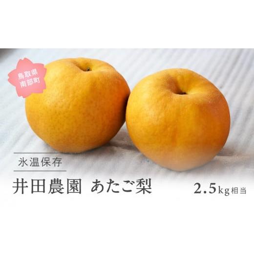 ふるさと納税 梨 鳥取県 南部町 ID04_01 鳥取県南部町産 井田農園のあたご 梨 (2.5kg箱) 令和8年1月出荷 ID04_01 鳥取県南部町産 井田農園のあたご 梨 (…