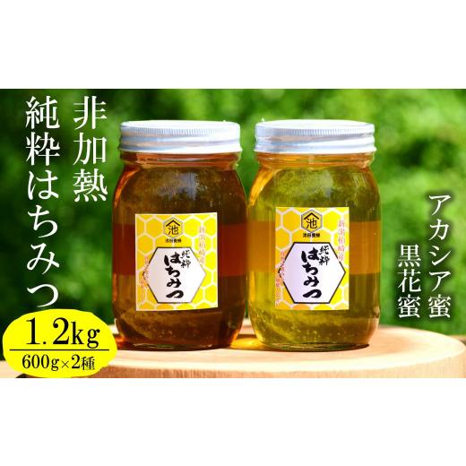 ふるさと納税 加工品等 はちみつ 新潟県 柏崎市  令和7年産・数量限定 国産 非加熱 純粋はちみつ 600g×2種類（アカシア蜜・黒花槐蜜）食べ比べセット 柏崎産 …の画像