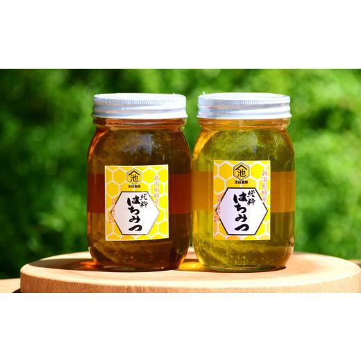 ふるさと納税 加工品等 はちみつ 新潟県 柏崎市  令和7年産・数量限定 国産 非加熱 純粋はちみつ 600g×2種類（アカシア蜜・黒花槐蜜）食べ比べセット 柏崎産 …の画像